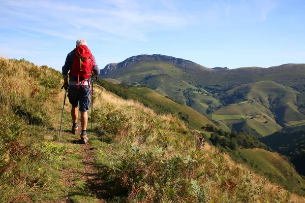 Senderista masculino en un viaje — Foto de Stock