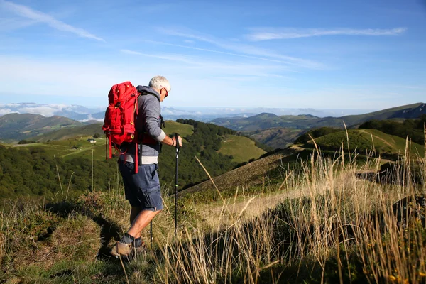 Male Hiker on a journey — Stock Photo, Image