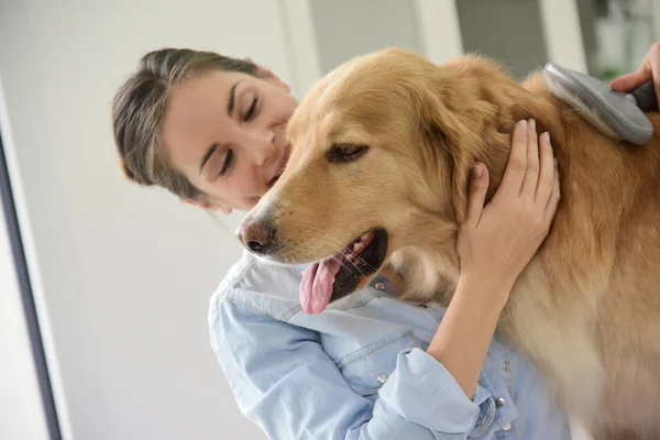 Donna spazzolando i capelli del suo cane — Foto Stock