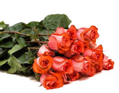 renkli çiçek buketi beyaz backgro izole kırmızı gül'den