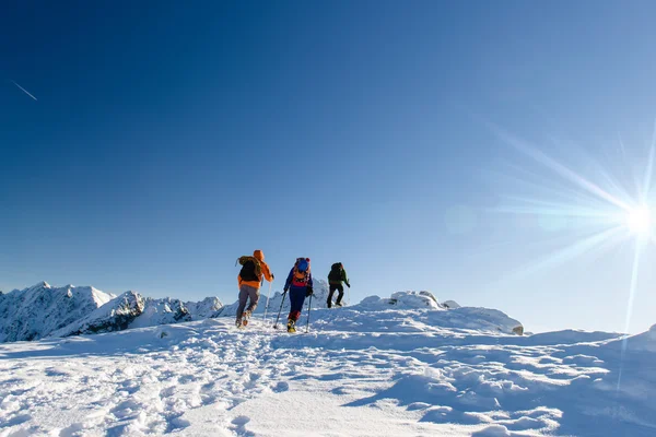 Ομάδα περιπατητές στο χειμώνα βουνά, πανέμορφο τοπίο και μπλε s Royalty Free Εικόνες Αρχείου