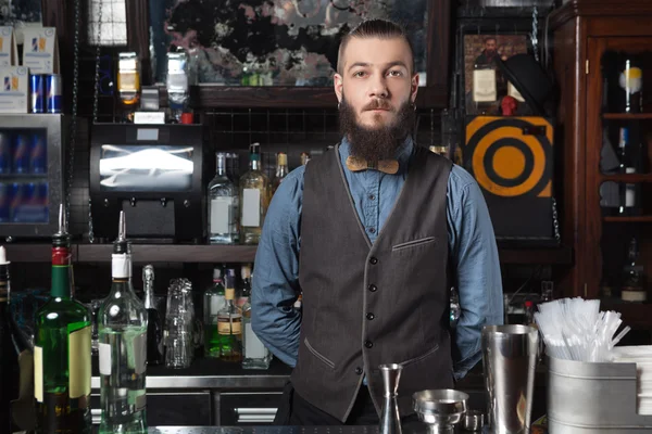 Barman en el trabajo . Imagen De Stock