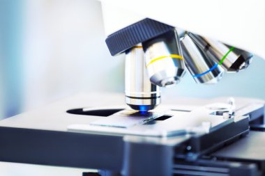 Kan örneği arka plan mikroskopla.