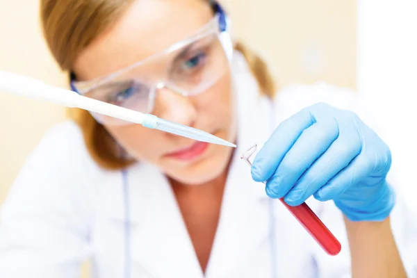 Jovem cientista trabalhando com amostras em laboratório . — Fotografia de Stock