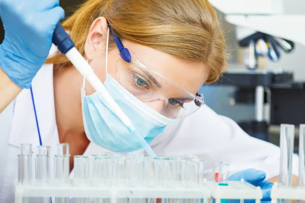 Jovem cientista trabalhando com amostras em laboratório . — Fotografia de Stock