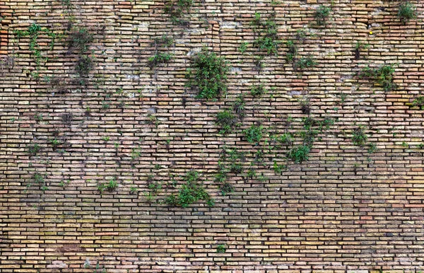 Closeup staré hnědé cihlová zeď. — Stock fotografie