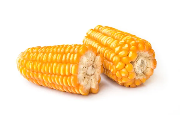 Dried corn seed. — Stock Photo, Image