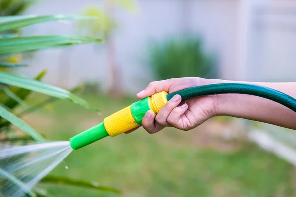 Watering the garden. — Stock Photo, Image