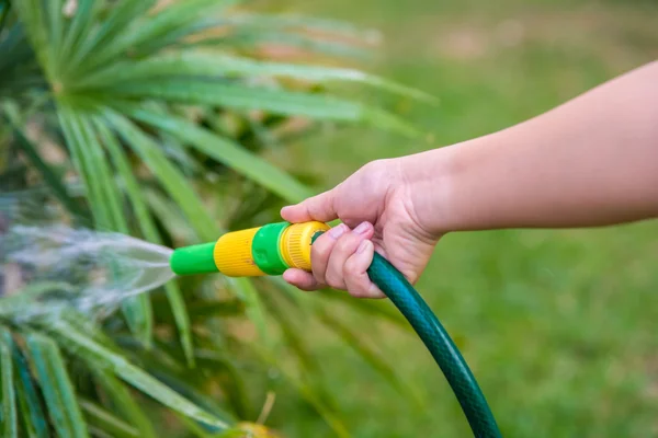 Watering the garden. — Stock Photo, Image