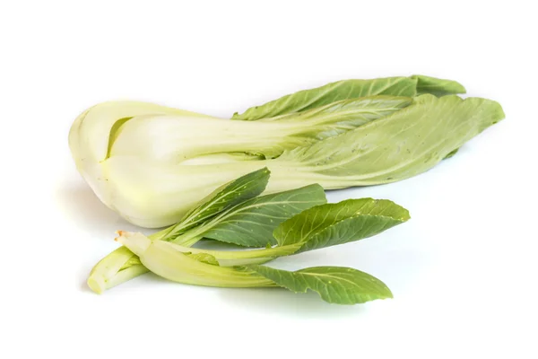 Fresh Chinese Cabbage . — Stock Photo, Image