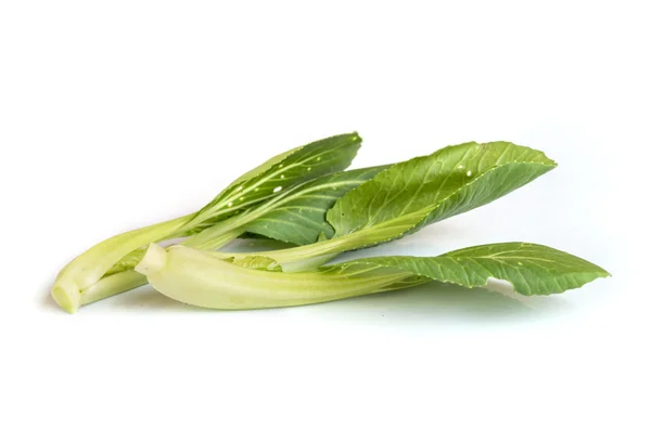 Fresh Chinese Cabbage . — Stock Photo, Image