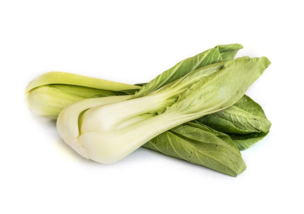 Fresh Chinese Cabbage . — Stock Photo, Image