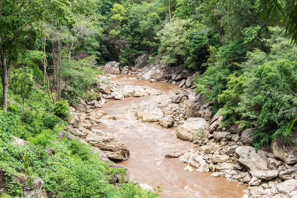 Ruisseau coulant dans la forêt . — Photo