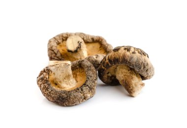 Kuru shiitake mantar.