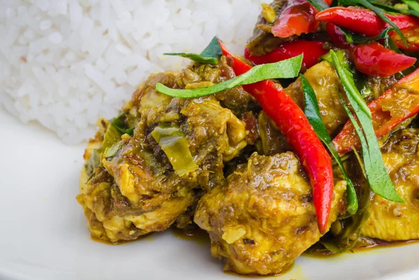 Pollo al curry con arroz —  Fotos de Stock