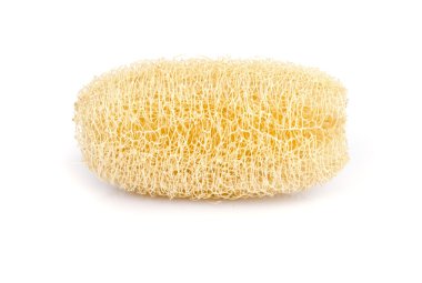 lif kabağı sünger.