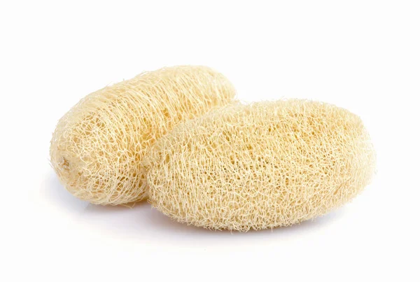 Luffa spons. — Stockfoto