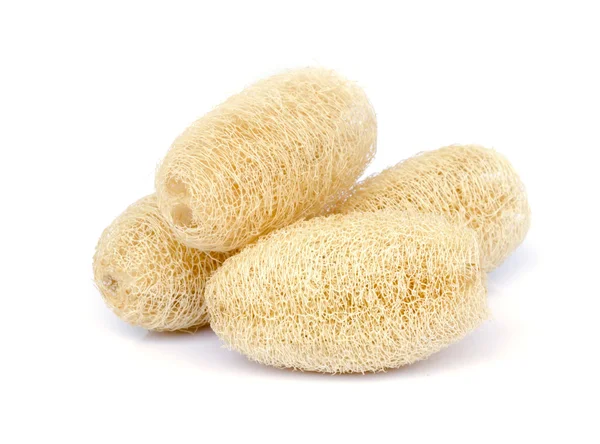 Luffa 스폰지. — 스톡 사진