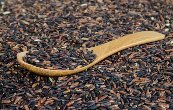 Rice berry. — Stock Photo, Image