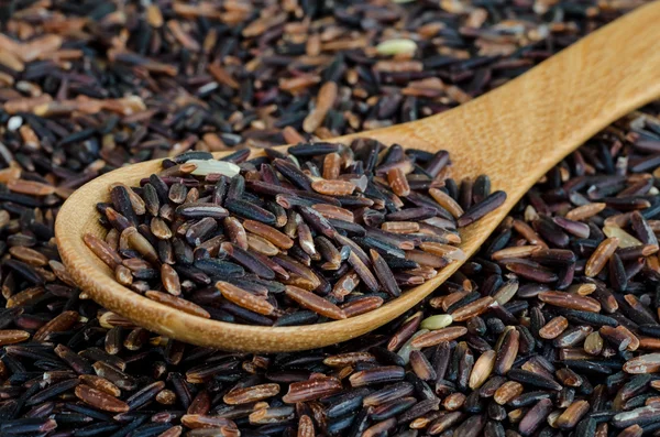 Rice berry. — Stock Photo, Image