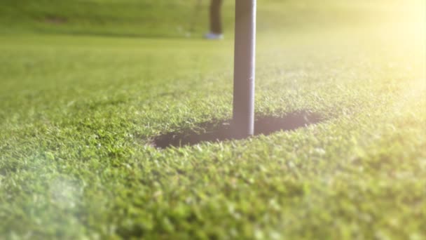 Игра в гольф красивым летним утром — стоковое видео