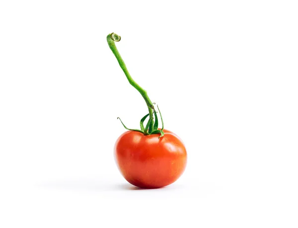 Крупный план необработанного натурального томата — стоковое фото