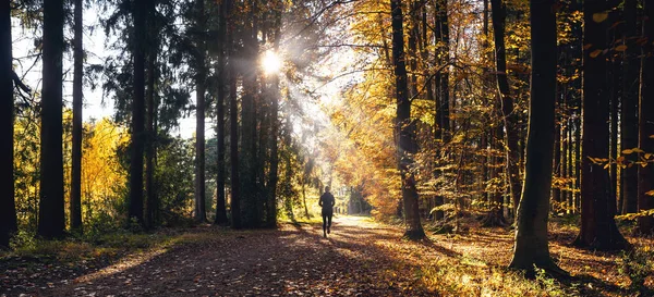 女性ランナージョギングで静かな森で春に美しい明るい太陽の光 — ストック写真