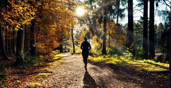 Samice Běžec Běžec Tichém Lese Jaře Krásnými Jasnými Slunečními Paprsky — Stock fotografie