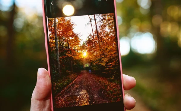 Женщина Фотографирует Осенний Лес Своим Смартфоном Поста Социальных Сетях — стоковое фото