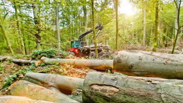 Houten vrachtwagen pikt grote houten onderdelen — Stockvideo