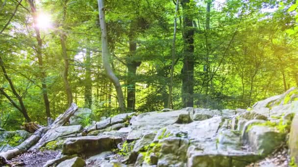 Man running on rural offroad way — Stock Video