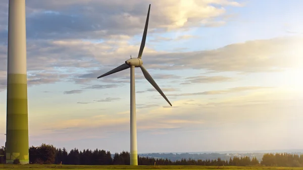 Green meadow with wind turbines — Stock Photo, Image