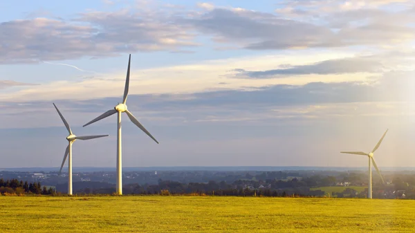 Green meadow with wind turbines — Stock Photo, Image