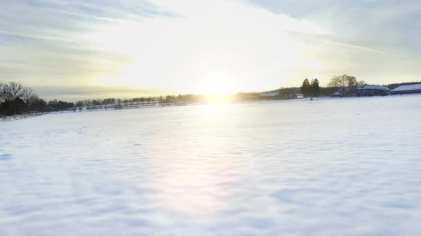 Stille Waldlandschaft im schneebedeckten Winter — Stockvideo