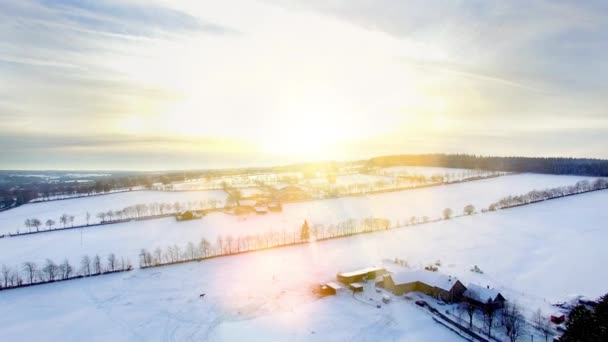 Silenzioso paesaggio forrest in inverno neve — Video Stock