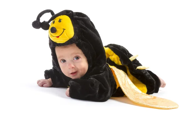 Baby boy dressed up like bee — Stock Photo, Image