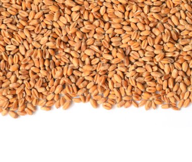 Pişmemiş buğday tahıl
