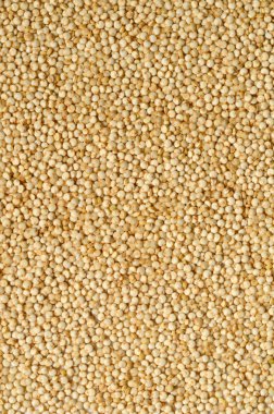 Beyaz quinoa tohumları