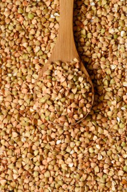 pişmemiş buğday tohumu