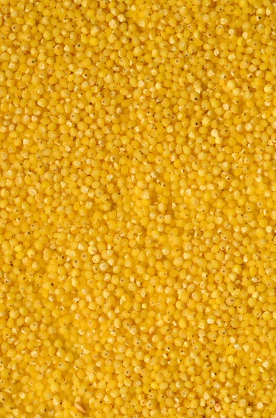 Raw yellow millet — Stock Photo, Image