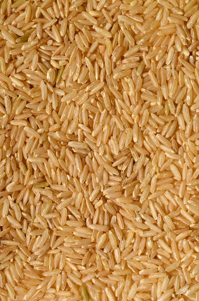 Niegotowane ryżu brązowego — Zdjęcie stockowe