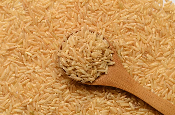 Arroz mascavo não cozido — Fotografia de Stock