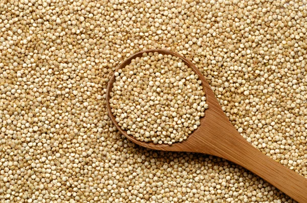 Bílé quinoa semena — Stock fotografie