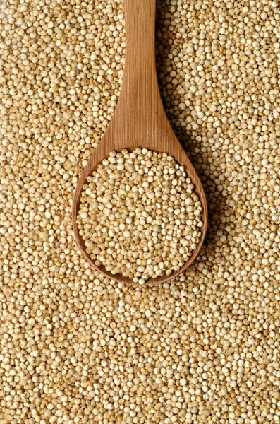 Beyaz quinoa tohumları — Stok fotoğraf