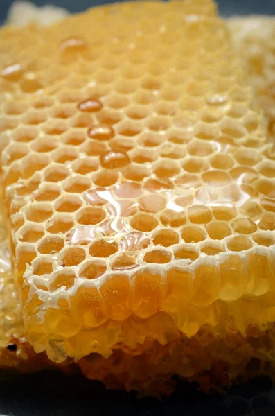 Méhsejt közelről — Stock Fotó
