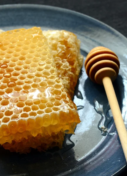 Honeycomb och trä strömstare — Stockfoto