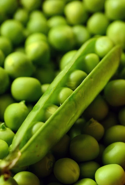 Świeży zielony groszek organiczne — Zdjęcie stockowe