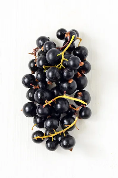 Black Currant berries — Stock Photo, Image