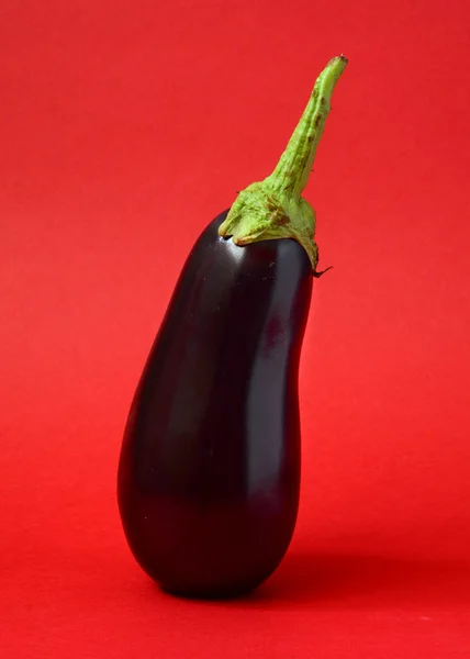 Eine frische Aubergine — Stockfoto