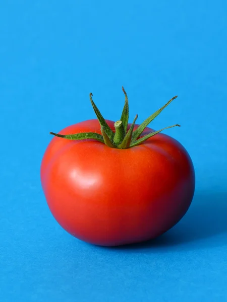 Eine reife Tomate — Stockfoto